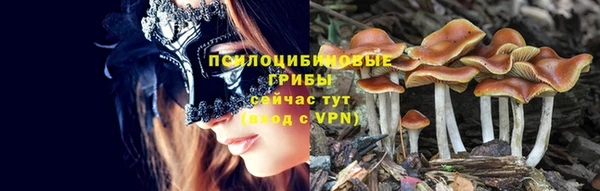 дживик Костерёво