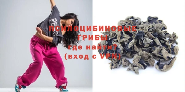 дживик Костерёво