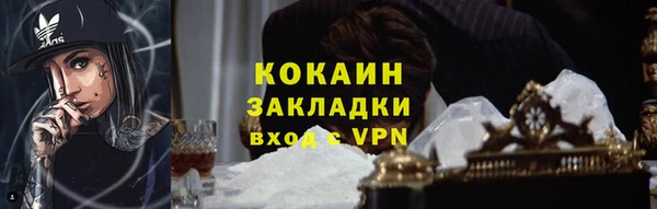 дживик Костерёво