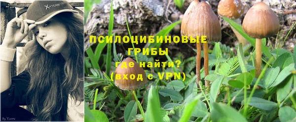 дживик Костерёво