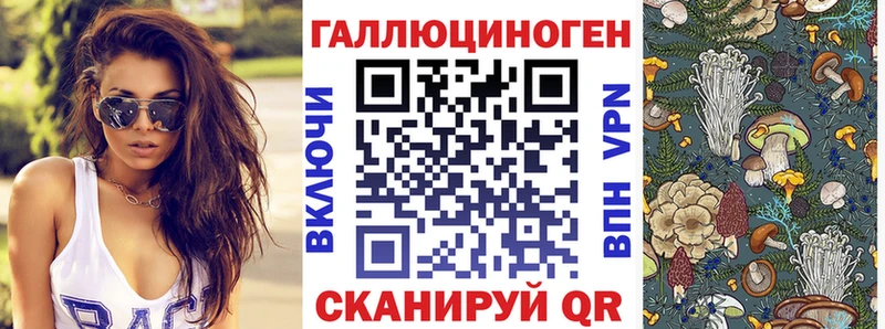 Купить где  Грязи  Галлюциногенные грибы GOLDEN TEACHER 
